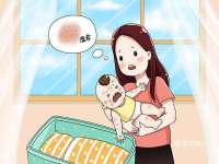 江苏住林木业有限公司