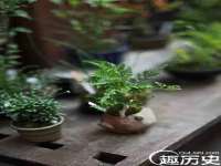江苏住林木业有限公司