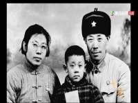 江苏住林木业有限公司
