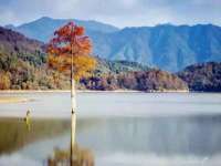 江苏住林木业有限公司