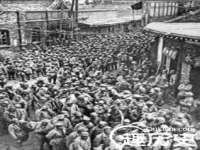 江苏住林木业有限公司