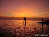 江苏住林木业有限公司