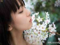 江苏住林木业有限公司