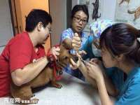 江苏住林木业有限公司