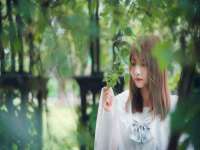 江苏住林木业有限公司
