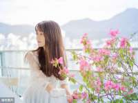 江苏住林木业有限公司