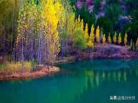 江苏住林木业有限公司