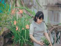 江苏住林木业有限公司