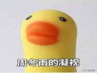 江苏住林木业有限公司