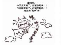 江苏住林木业有限公司