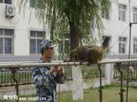 江苏住林木业有限公司