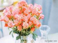江苏住林木业有限公司