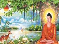 江苏住林木业有限公司