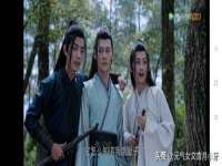 江苏住林木业有限公司