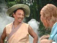 江苏住林木业有限公司