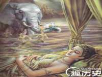 江苏住林木业有限公司