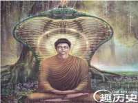 江苏住林木业有限公司