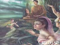 江苏住林木业有限公司